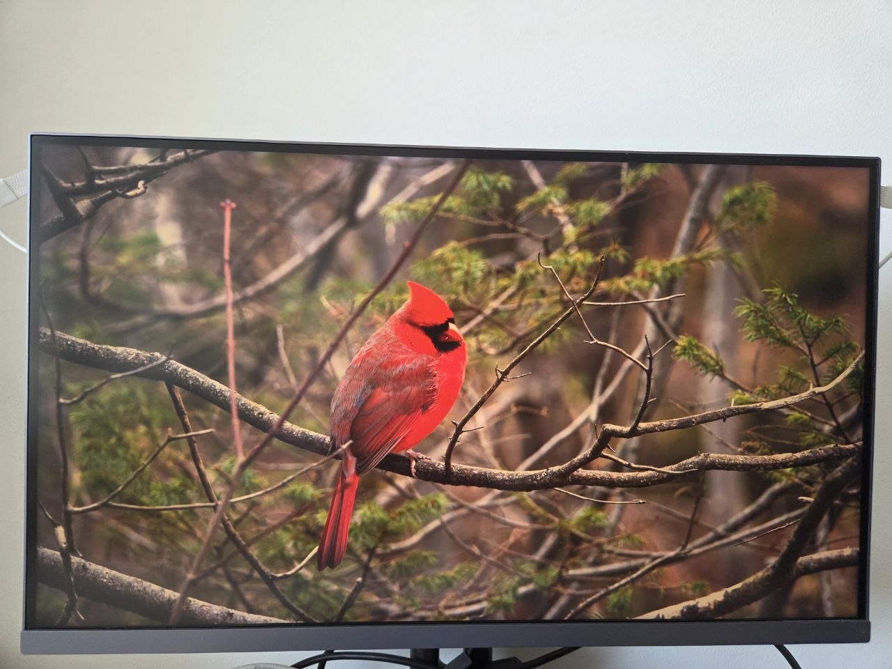 Xiaomi Mi 4K Monitor 27"