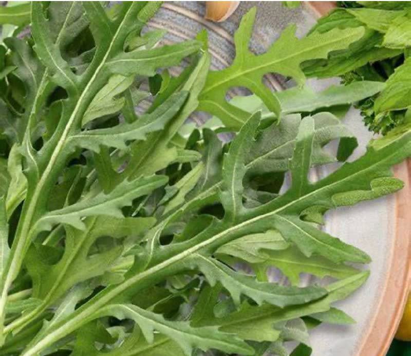 Делюсь излишками рукколы в обмен на кофе, шоколад