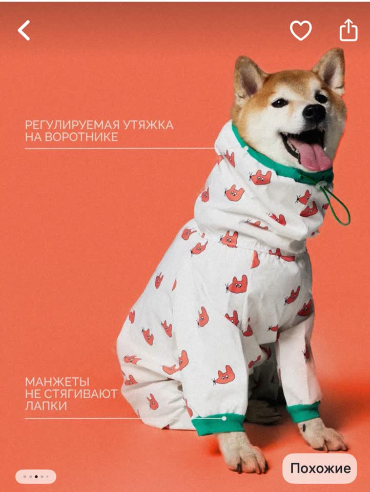Собачий дождевик