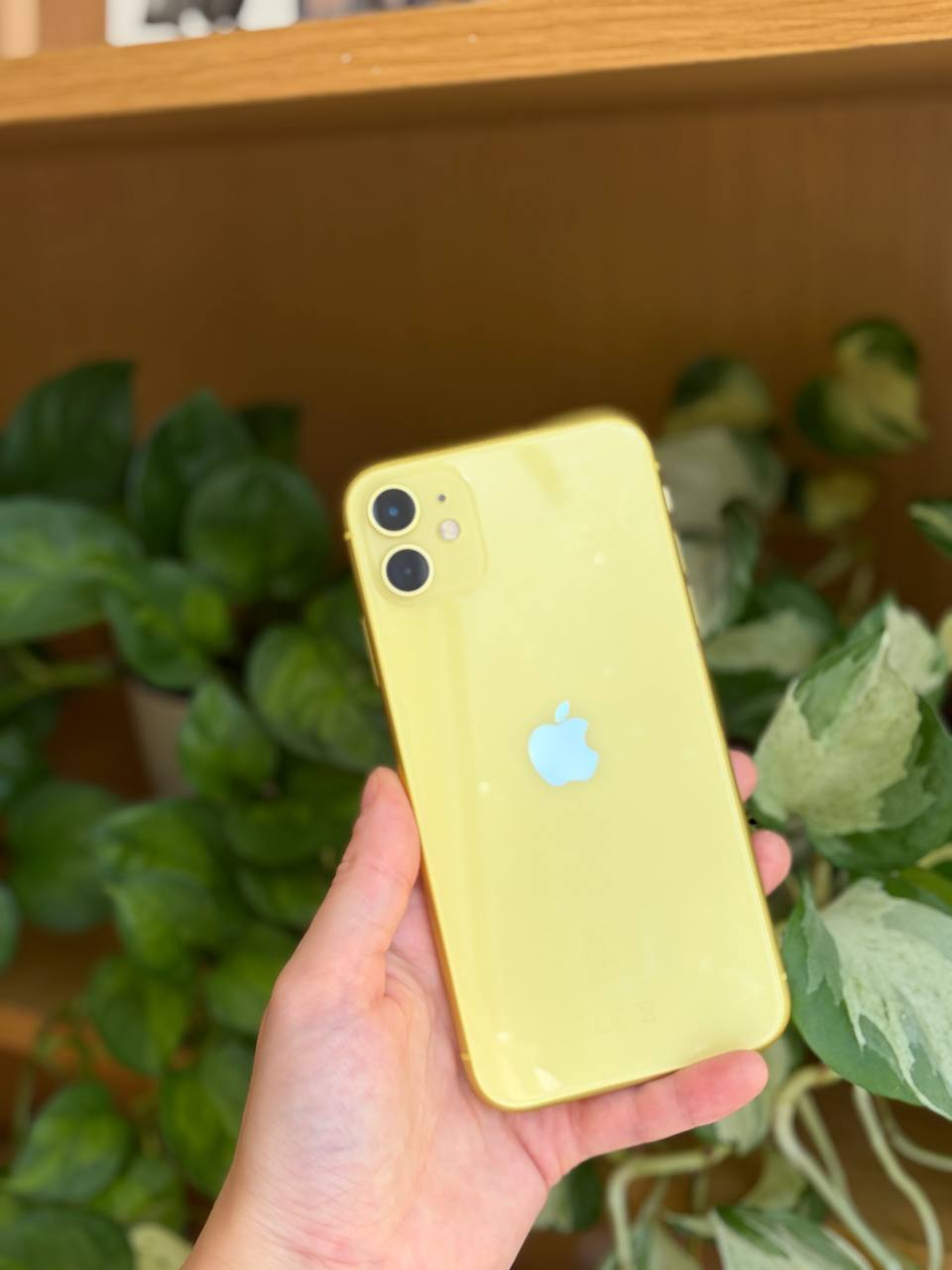 iPhone 11 128GB žuti 💛