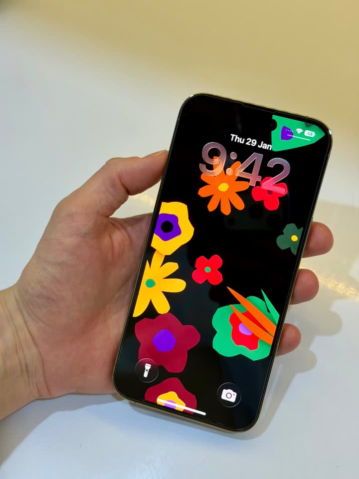 iPhone 14 Pro Max