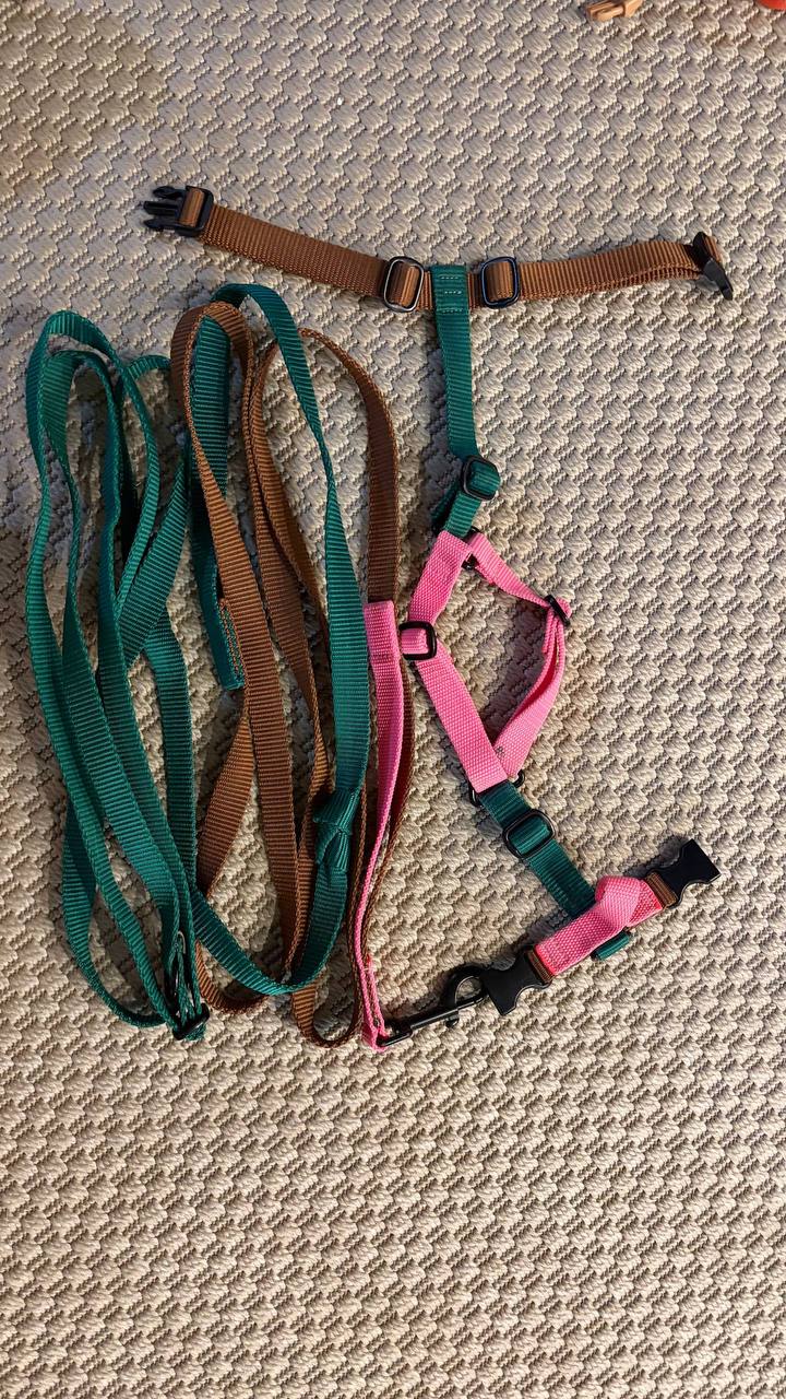 Anatomski pojas Woofinery Craft i hands free povodac-prevez