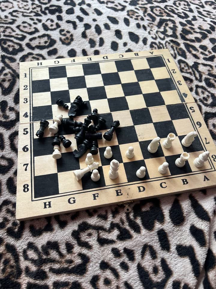 Шахматы и игры