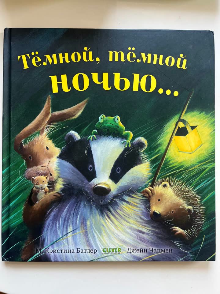 «Тёмной, тёмной ночью…» — М. Кристина Батлер