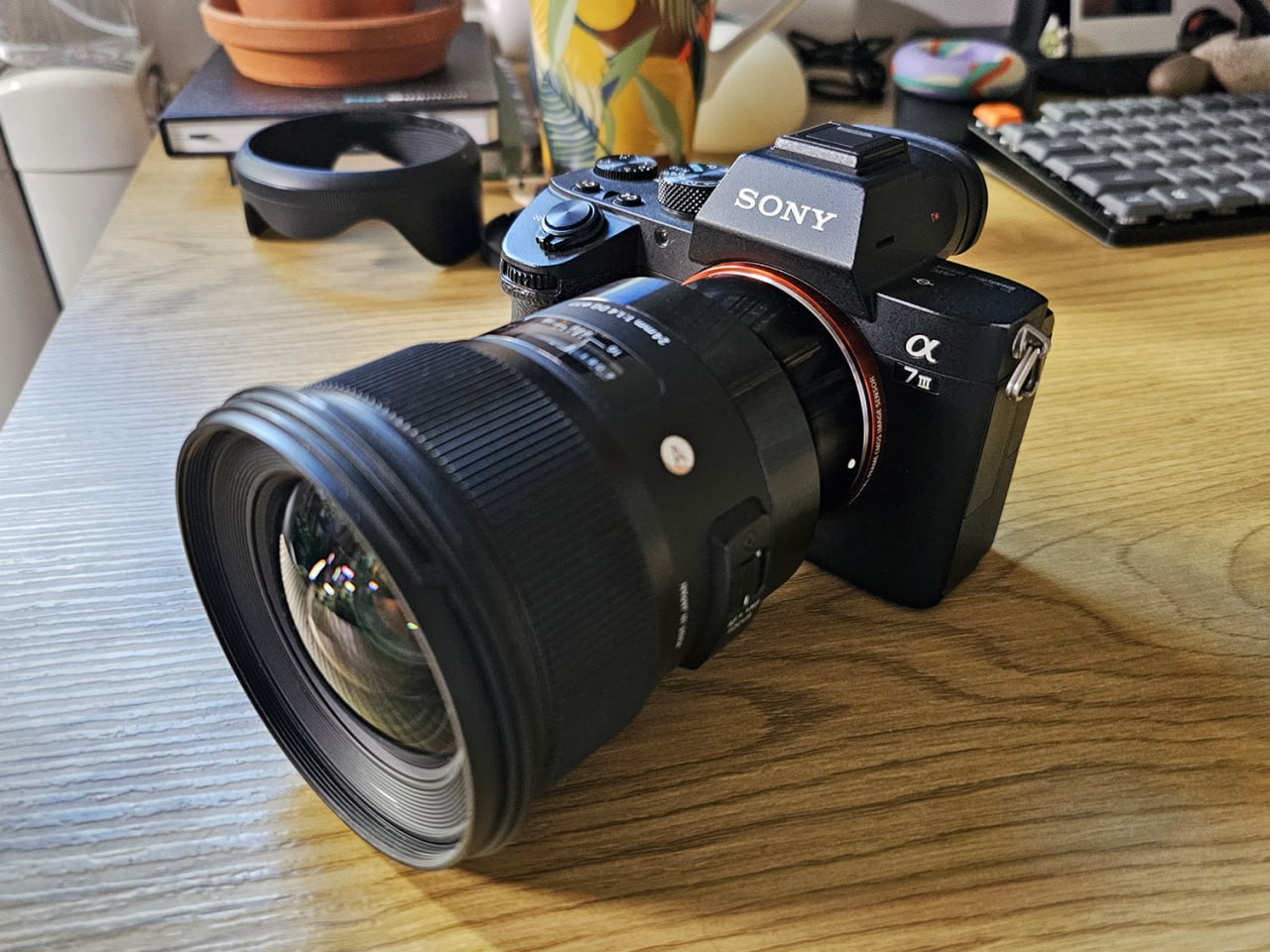 Sony A7 III с объективом Sigma 24mm F1.4 DG HSM Art