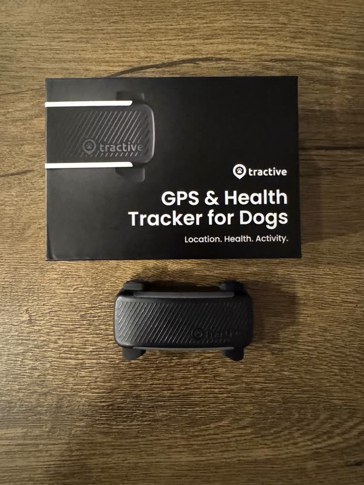GPS трекер Tractive DOG 6