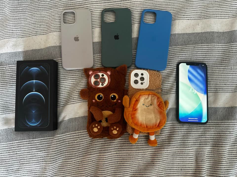 iPhone 12 Pro Max