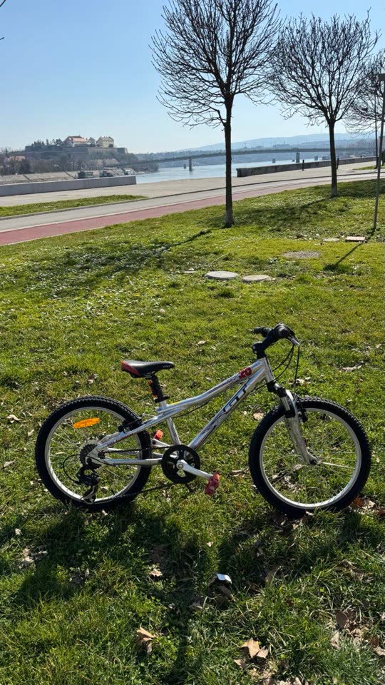 Детский велосипед GT Aggressor 2.0 для детей 4-8 лет