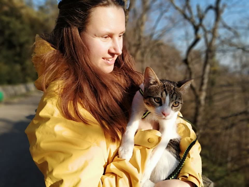 Ищем дом для котика