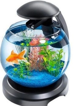 Продам аквариум Tetra