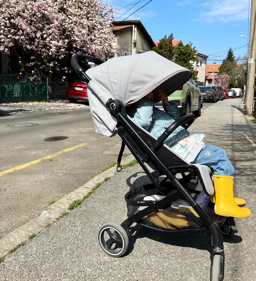 Cybex Beezy