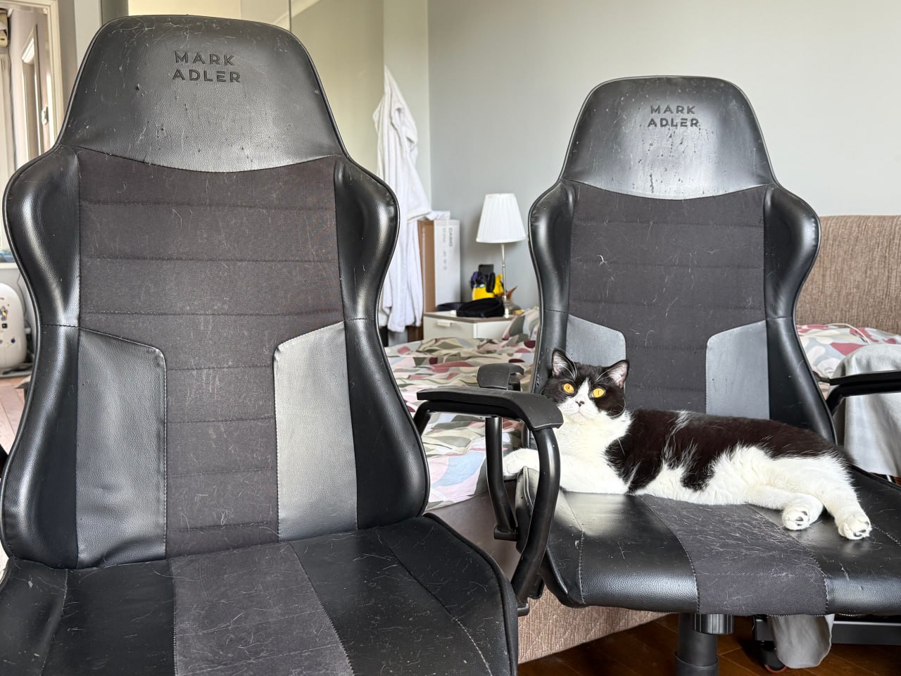 Отдам два офисных стула Mark Adler Boss 4.2