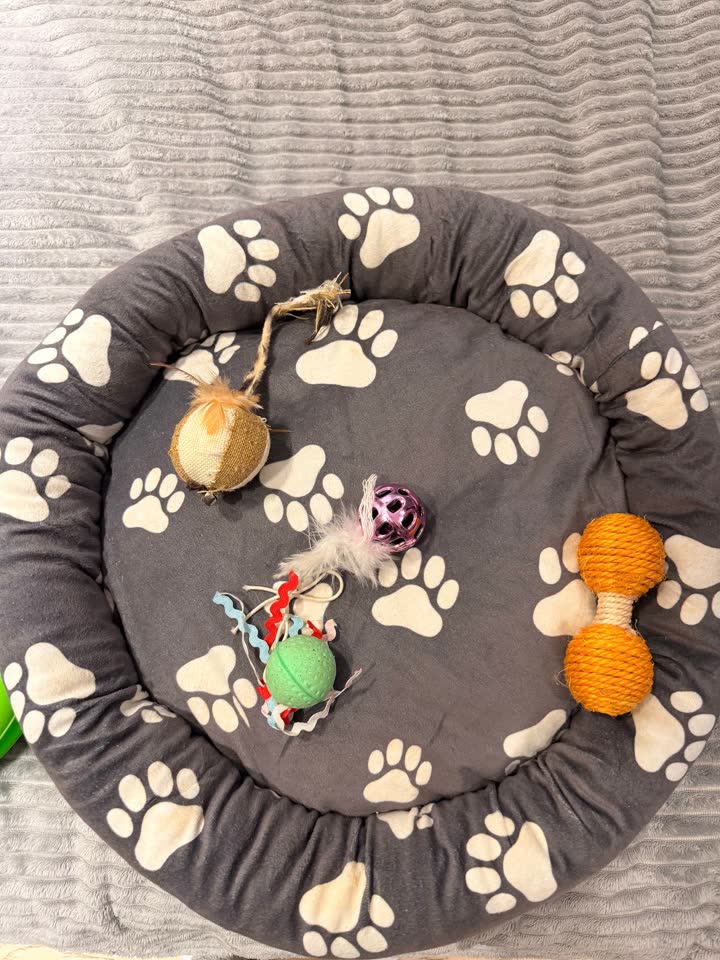 Лежанка для кота и игрушки