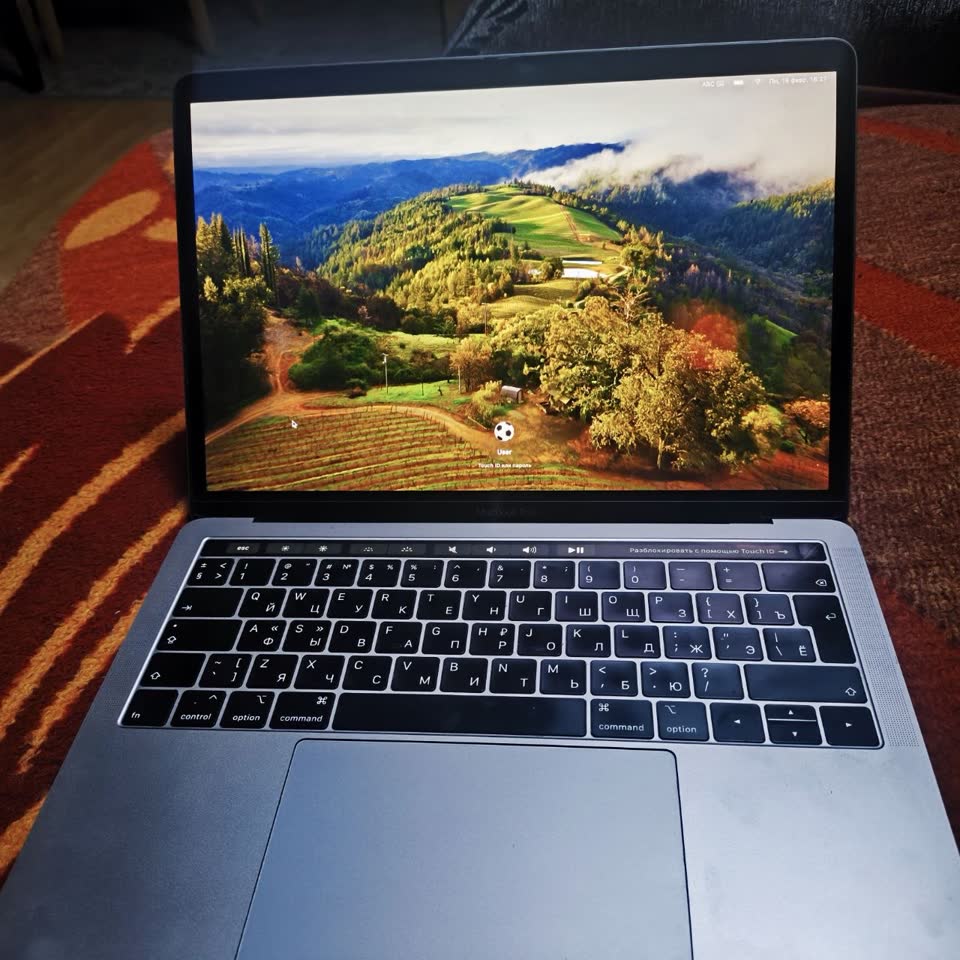 MacBook Pro 13" (i5 / 16GB / 250GB SSD) 2019