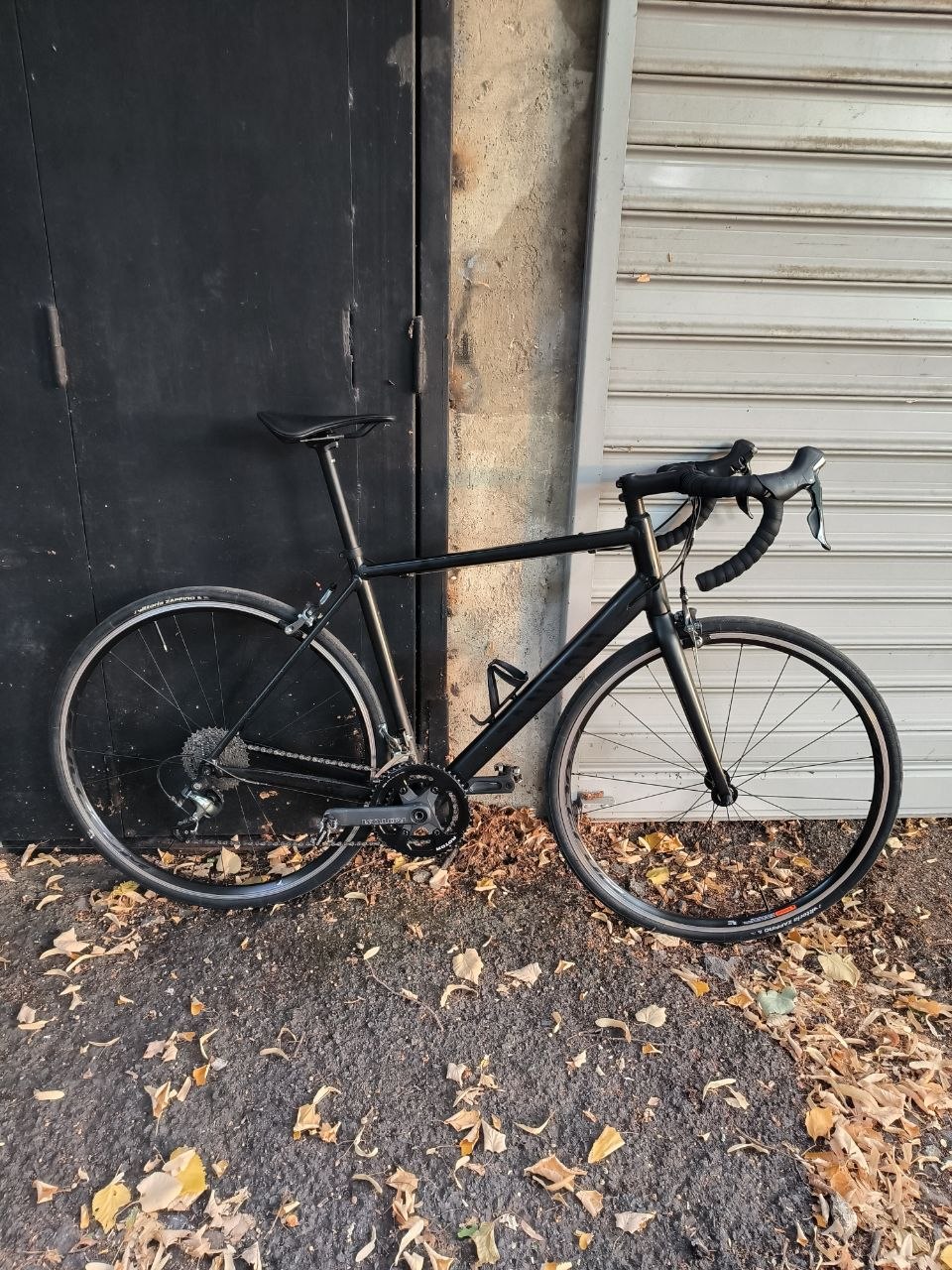 Canyon Endurace AL 6