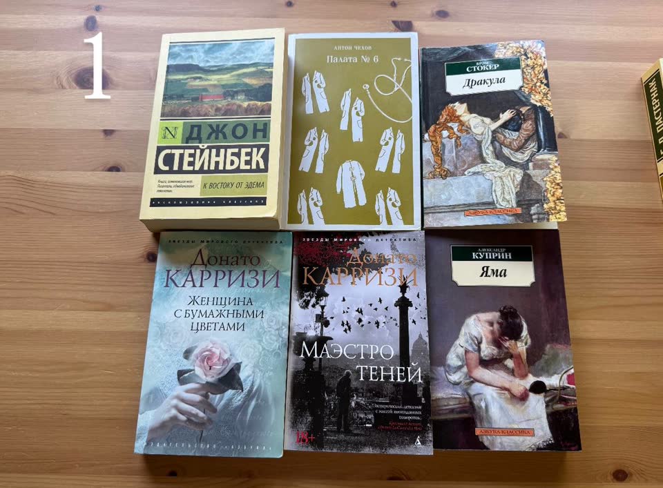 1 фото (все книги в мягкой обложке в хорошем состоянии кроме Стейнбека и Чехова,но чтению ни