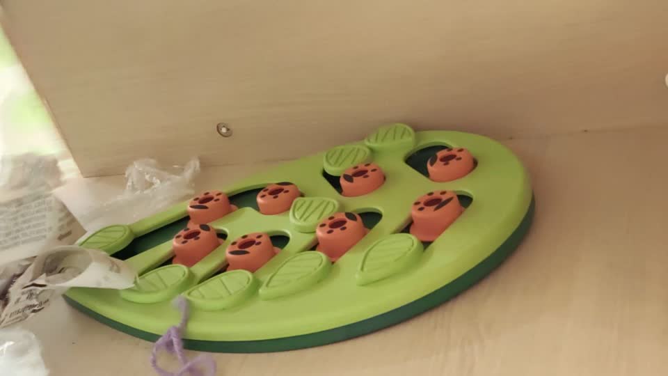 Интерактивная игрушка для кошки