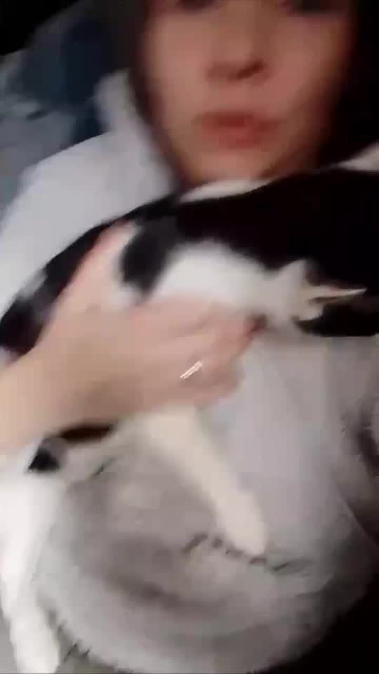 Рюк ищет дом 😻