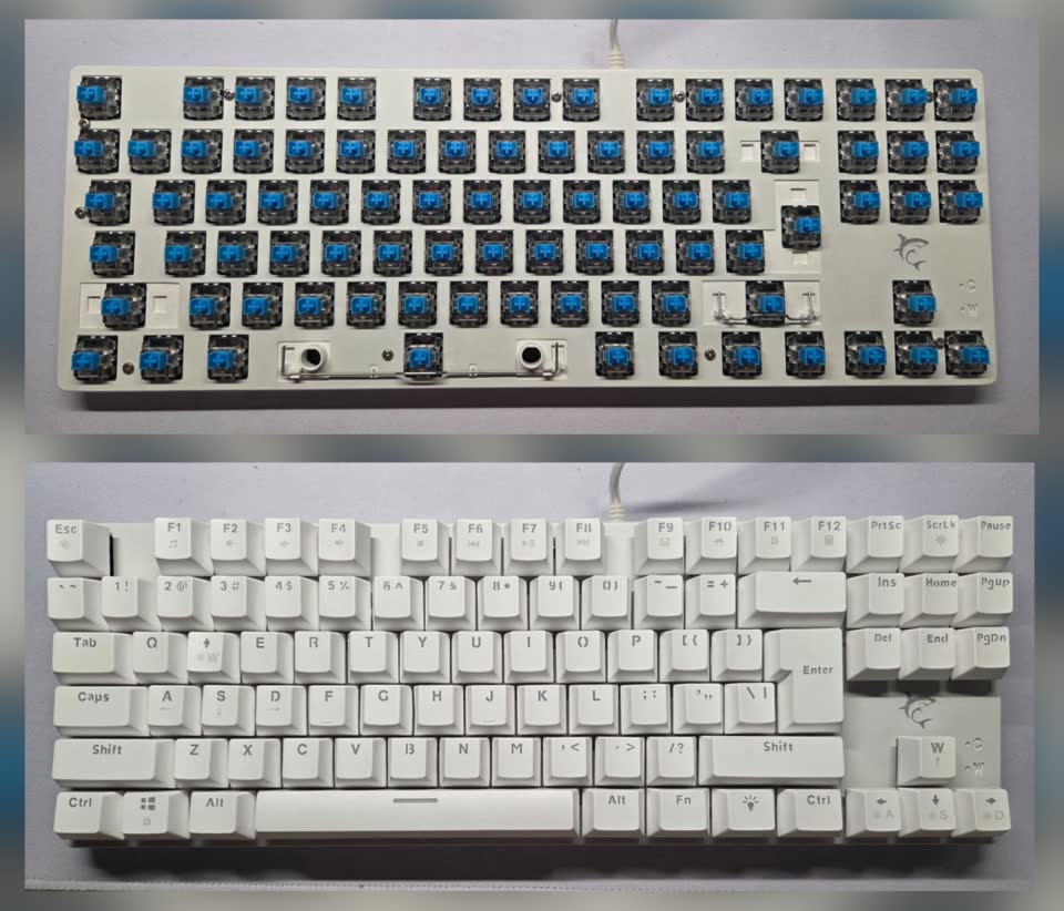 Tastatura White Shark GK-2106