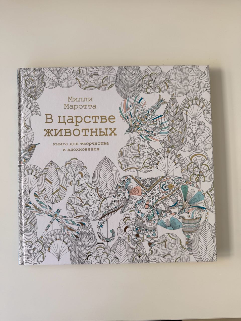 Книги и раскраска