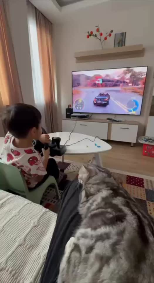 Игровой руль для PS4 / PS5 / Xbox / PC