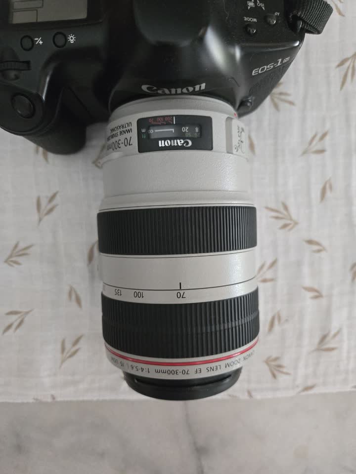 Продам надежную пленочную зеркалку Canon EOS-1N в комплекте с профессиональным телеобъективом Canon EF 70-300mm f/4-5.6L IS USM