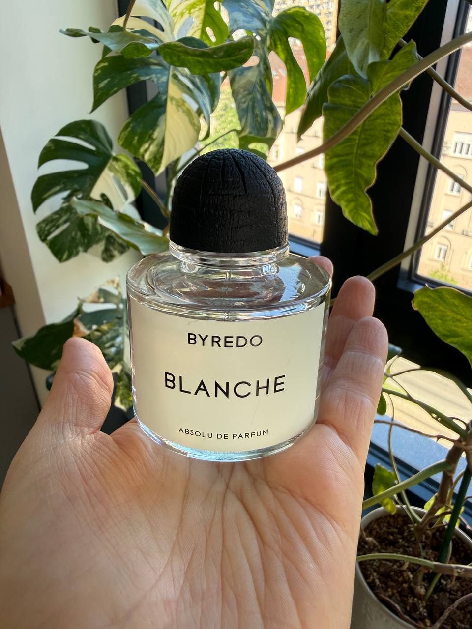 Byredo Blanche Absolu de parfum