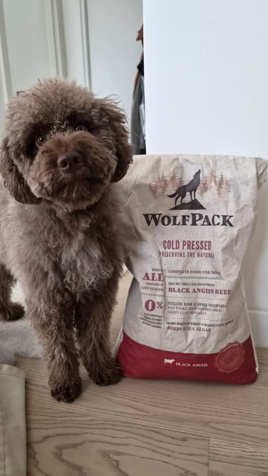 WolfPack Cold Pressed Black Angus Beef