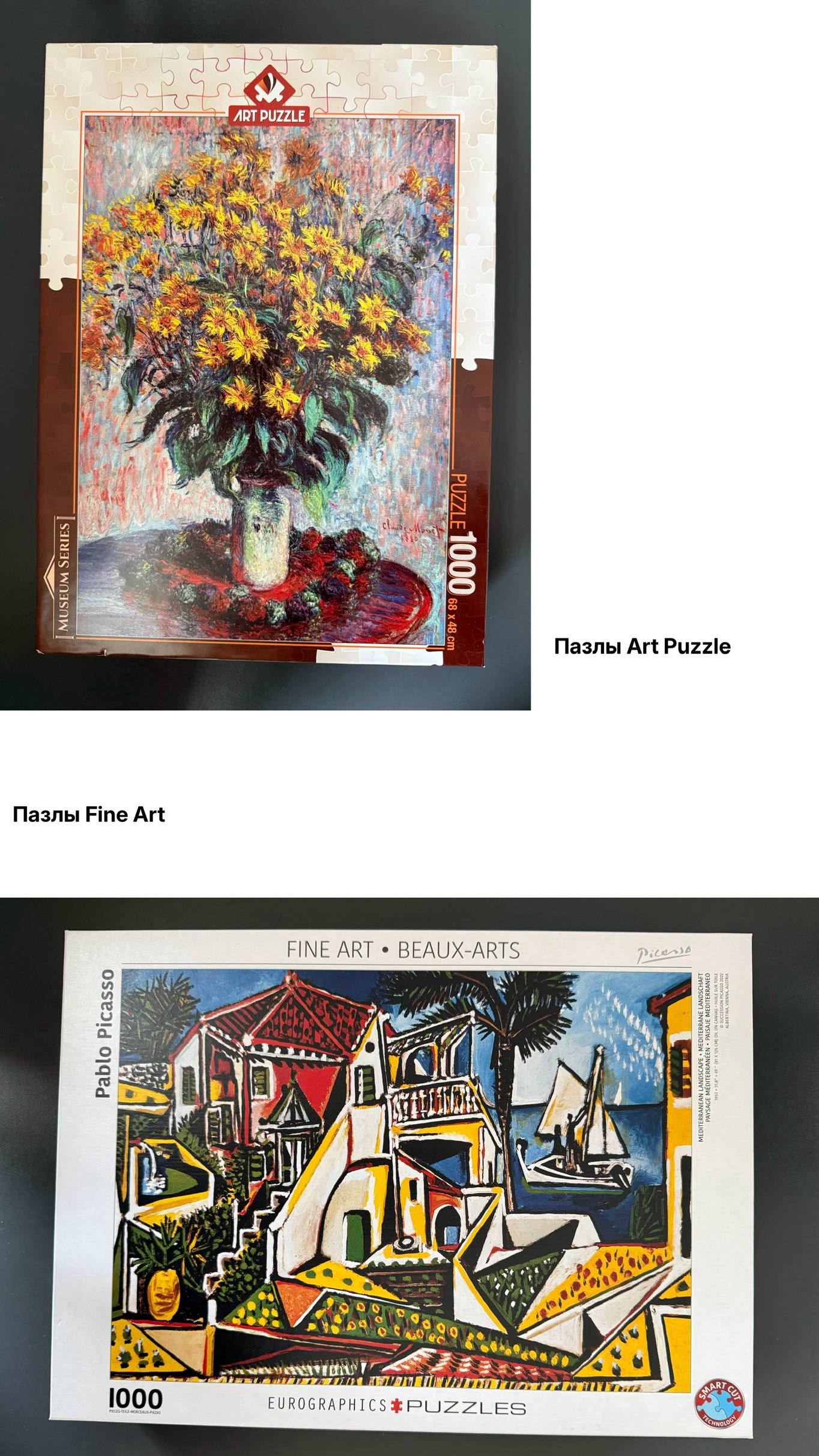 Пазлы Art Puzzle 1000 деталей / Пазлы Fine Art 1000 деталей