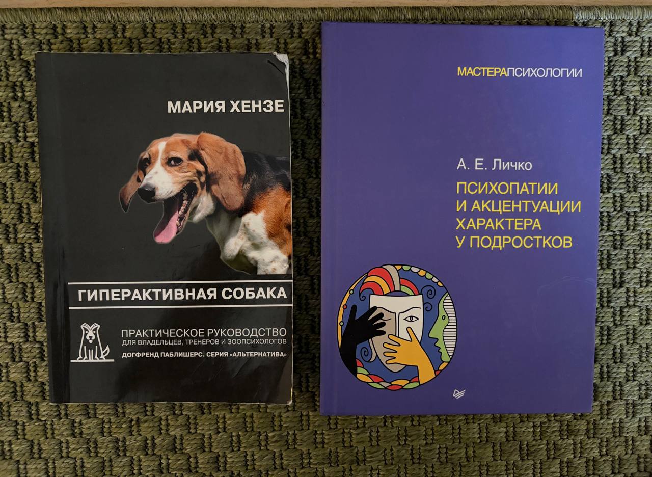 1. Гиперактивная собака Мария Хензе