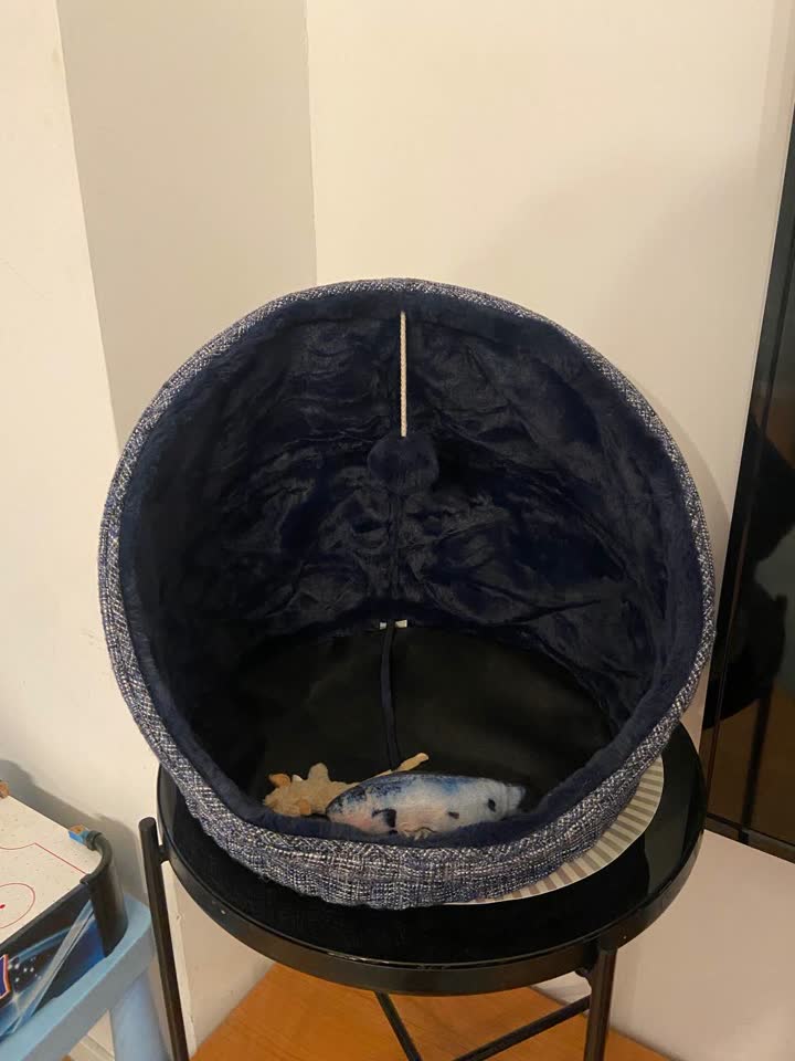 Домик для кота