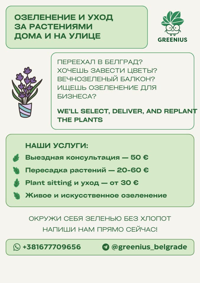 Озеленение и уход за растениями в Белграде